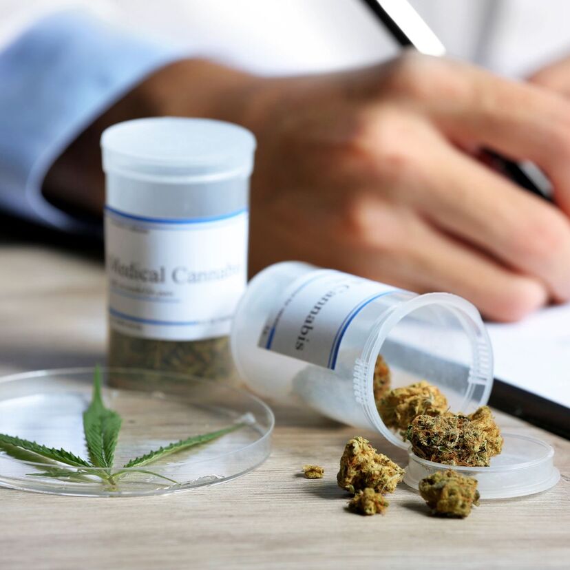 Medizinisches Cannabis auf dem Prüfstand Sander Apotheken dreimal in Bremerhaven